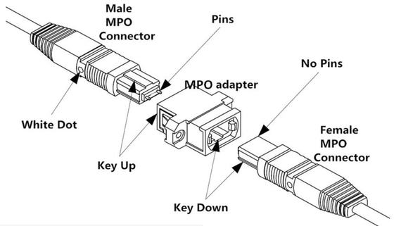 Ligação em ponte 2m do conector fêmea do cabo da fibra ótica MPO (6ft) OS2 9/125 24 únicos modos do núcleo